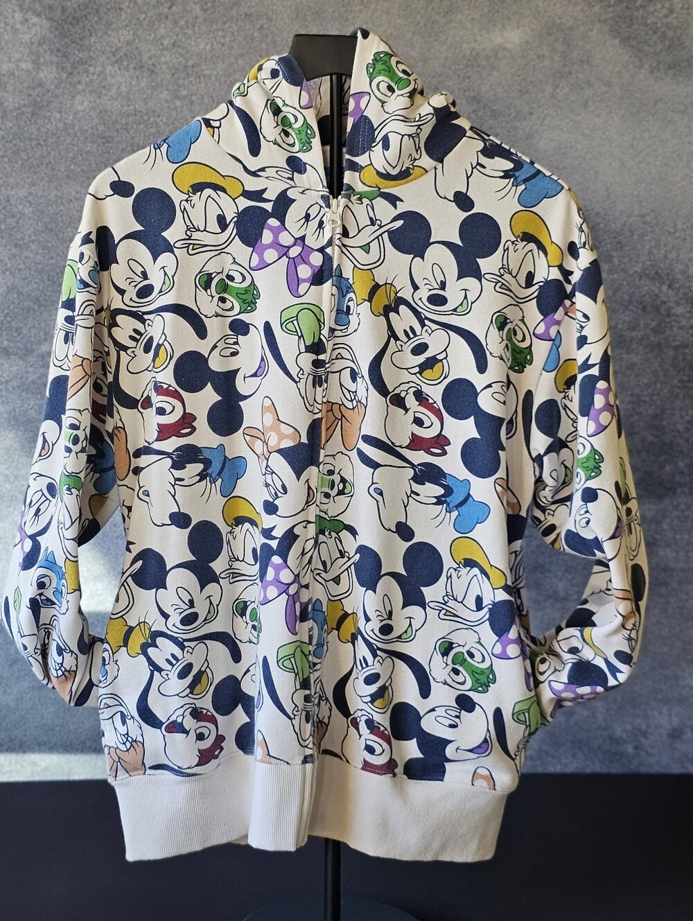 Tokyo Disney Resort 2022 Hoodie Unisex Mickey & Friends Full Zip Jacket